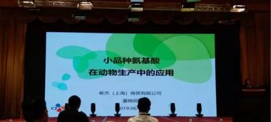 第十五届泰山论坛 动物营养与饲料科学技术交流峰会2019圆满落幕，技术转让成果丰硕